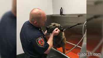 Durham police K-9 wounded in shooting 'recovering well,' police say; 21-year-old man charged