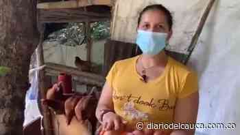 Muy 'berracas': Mujeres campesinas de Paicol ejecutarán iniciativas avícolas - Diario del Cauca