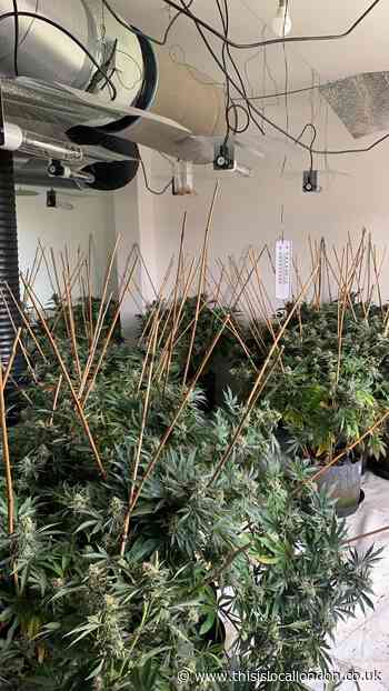 Police raids carried out in Barnet after investigation
