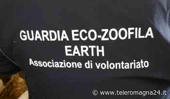FORLI': Sicurezza nelle aree verdi, entrano in campo le Guardie Ecologiche e Eco-zoofile | VIDEO - Teleromagna24