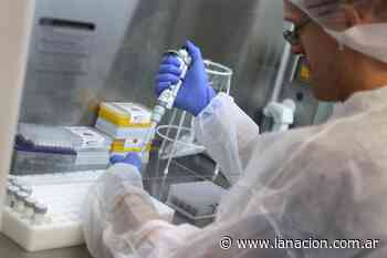 Coronavirus en Argentina: casos en Bolívar, Buenos Aires al 31 de marzo - LA NACION