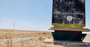 Canadian woman accused of trying to join ISIS released on bail