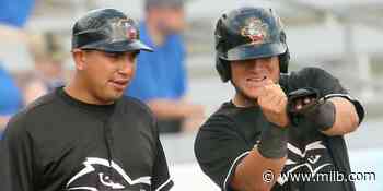 Fayetteville Woodpeckers 2021 Coaching Staff | Woodpeckers - MiLB.com