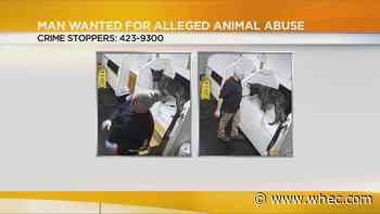 Man arrested for allegedly punching dog in Henrietta store
