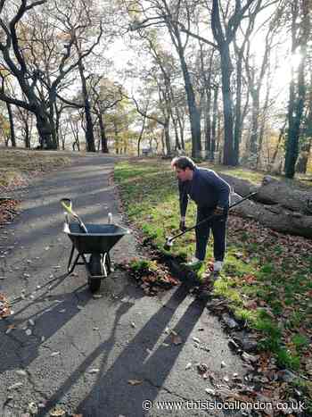 Croydon's project to give out free seeds to 400,000 people
