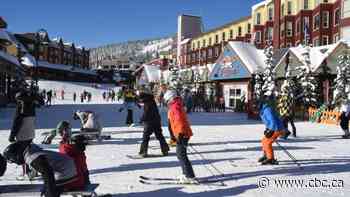 Restaurant owner apologizes for 'ignorant decision' to host rowdy party at B.C. ski resort