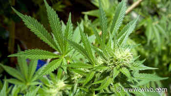 Gov. Cuomo signs bill legalizing adult use of cannabis into law