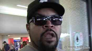 Ice Cube Sues Robinhood for Using His Image Without Permission