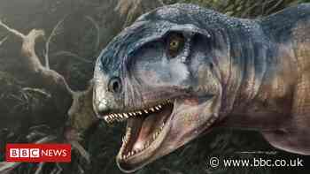 Skull of dinosaur called 'one who causes fear' found in Patagonia