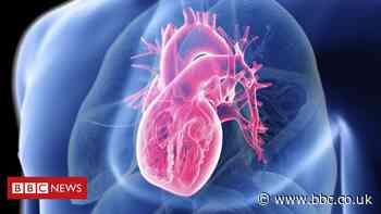 Long spaceflights and endurance swimming can 'shrink the heart'