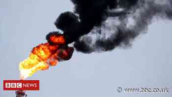 The real reason humans are the dominant species