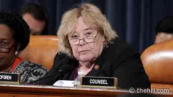 Lofgren says she's been briefed on 'disturbing' police report on riot