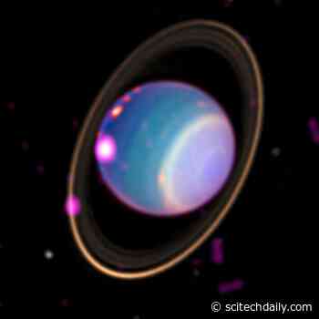 First Detection of X-rays From Uranus