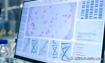 Researchers Collect DNA From the Air – Potential for New Ecological, Health and Forensic Applications