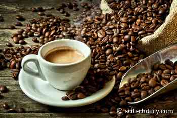 Drinking a Strong Coffee 30 Minutes Before Exercising Increases Fat-Burning