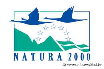 Natuurpunt en GroenRand reageren positief: “Beter spaarbekken dan industrie”