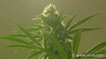 Developers look to move ahead with South Buffalo 'cannabis campus'