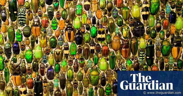 Should we determine species through DNA? (part two) – podcast