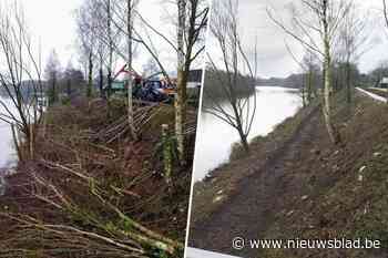 Beruchte boomactivist werpt zich in strijd tegen kaalslag op kanaaloevers: “Vergunning moet vernietigd worden”