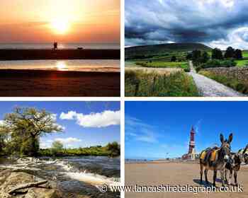 Why a good summer is ahead if we take Covid care: health boss