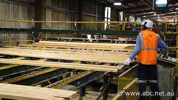 Extra shifts at timber mills will not be enough to meet demand from home builders