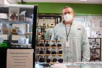 Lessons From Medical Marijuana Help Shape Montana Recreational Program - MTPR