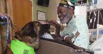 Therapy dogs prepare for their return to VCU Medical Center - wtvr.com - wtvr.com