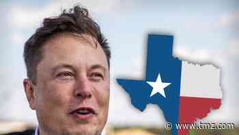 Elon Musk Triggers Real Estate Boom with Move-to-Starbase Tweets