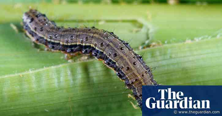 Damage from invasive species 'trebling every decade'