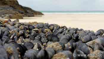 Bio-recycling and water bottle refills: Waitrose invests £1m to tackle plastic waste