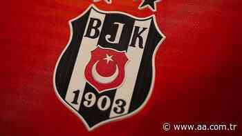 Besiktas basketball team reports 8 coronavirus cases - Anadolu Agency