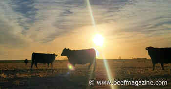 Workshop to assist livestock producers dealing with drought