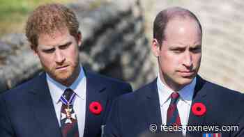 Prince William 'struggling' not to share his story after Prince Harry, Meghan Markle interview: report