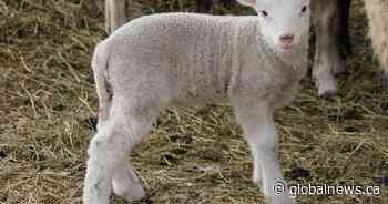 Your Saskatchewan photo of the day: April 2021