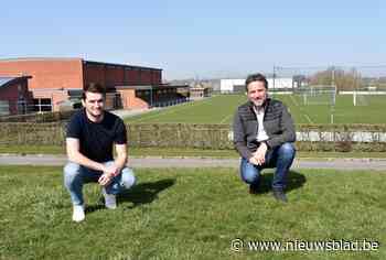 Pittem bouwt nieuwe sporthal in plaats van de oude te renoveren: “Het bestaande complex opknappen en uitbreiden zou niet minder kosten” - Het Nieuwsblad