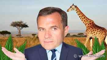 Newsmax Host Greg Kelly's Odd Weed Warning, Claims 4 Day Bender to Africa