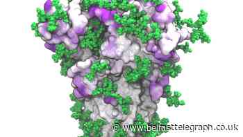 New model of Covid-19 spike protein ‘could help vaccine development’