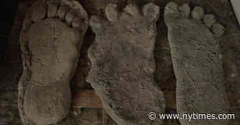 The Best Movies and TV Shows Coming to Amazon, HBO Max, Hulu and More in April