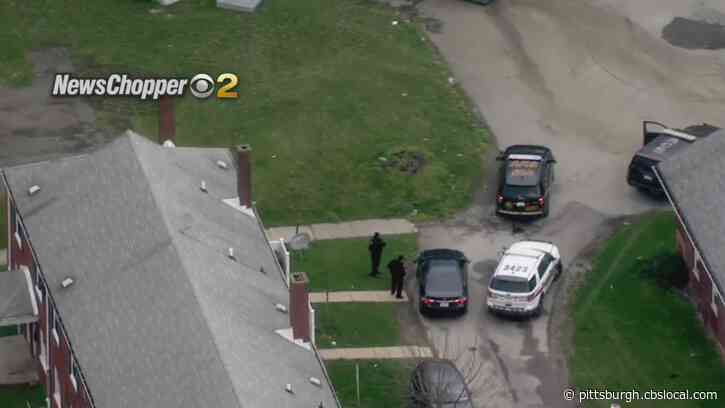 2 Arrested After Police Chase Through Allegheny County