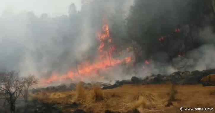 Reportan incendio en la México-Cuernavaca a la altura de “La Pera” - ADN 40