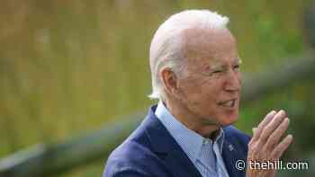 Biden requesting information on legal authority to cancel student debt