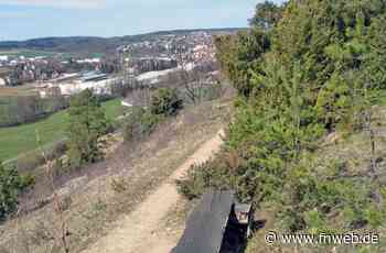 Spaziergang in die Wacholderheide lohnt sich - Fränkische Nachrichten