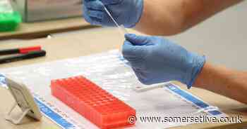 Somerset coronavirus latest as 44 new cases recorded in 24 hours - Somerset Live