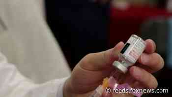 Wealthy Mexicans jet to US for COVID-19 vaccines: 'They didn't even ask for my visa'