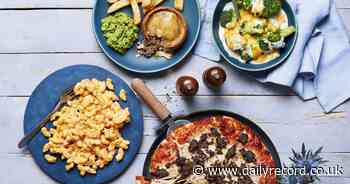 Lidl's Scottish Larder returns celebrating over 30 of Scotland's top food and drink producers and products - Daily Record