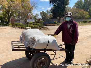 Zimbabwe's Food Insecurity Escalates During COVID-19 Lockdowns - Voice of America
