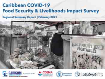 Caribbean COVID-19: Food Security & Livelihoods Impact Survey, Regional Summary Report | February 2021 - Haiti - ReliefWeb