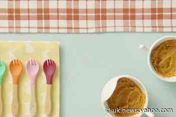 This healthy homemade baby food puree will have your kids craving veggies - Yahoo News UK