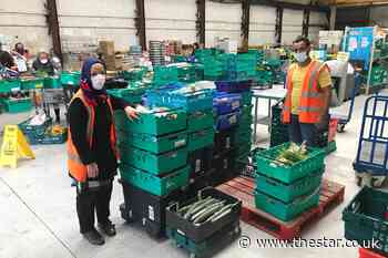 Sheffield organisation that saves food and feeds thousands needs a new home fast - The Star