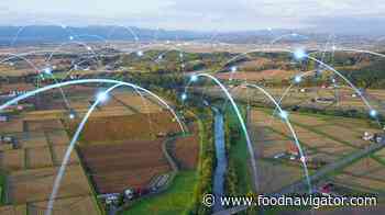 'Big Ag has not delivered': Food security under threat from agribusiness giants, warns report - FoodNavigator.com